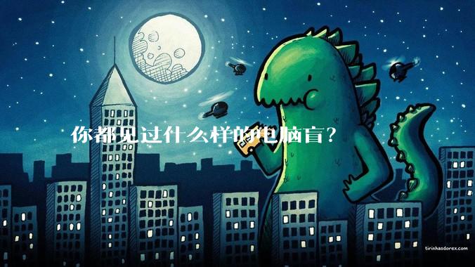 你都见过什么样的电脑盲？